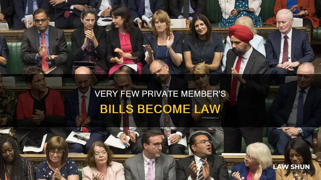 how many private members bills become law