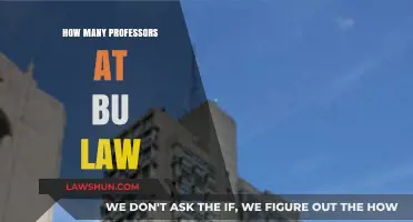Exploring the Faculty Size at BU Law: A Comprehensive Overview