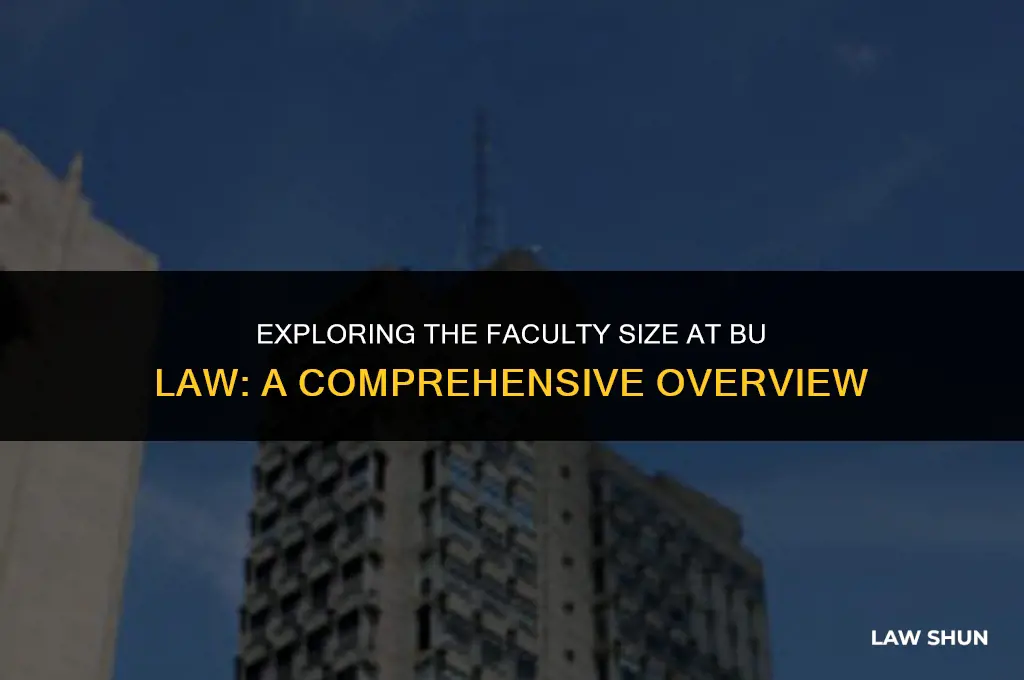 how many professors at bu law