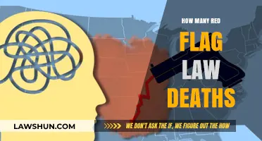 Examining the Tragic Impact of Red Flag Laws on Innocent Lives