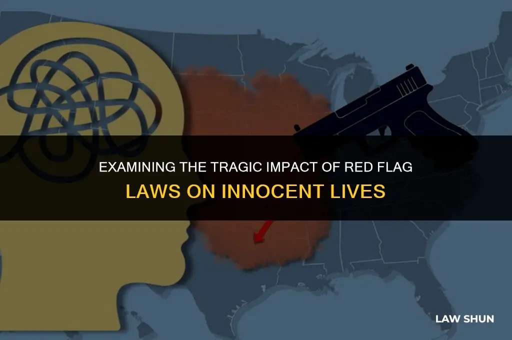 how many red flag law deaths