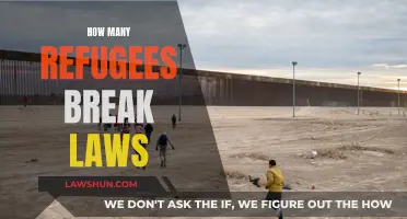 Refugees and Lawbreaking: Examining the Reality