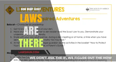 Exploring the Core Principles: A Guide to Scout Laws