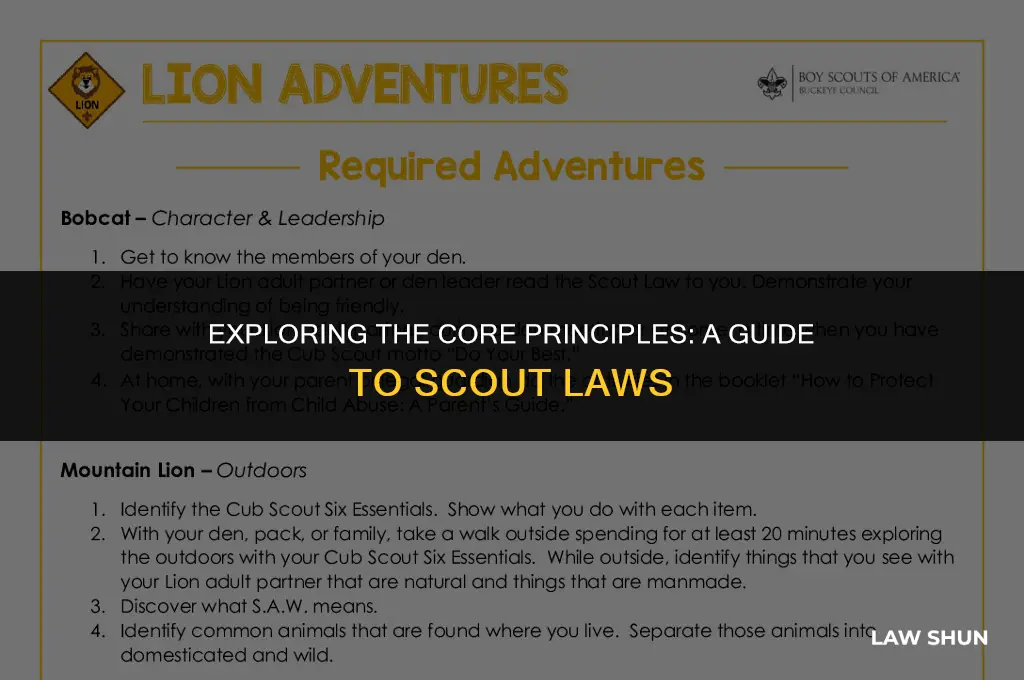 how many scout laws are there