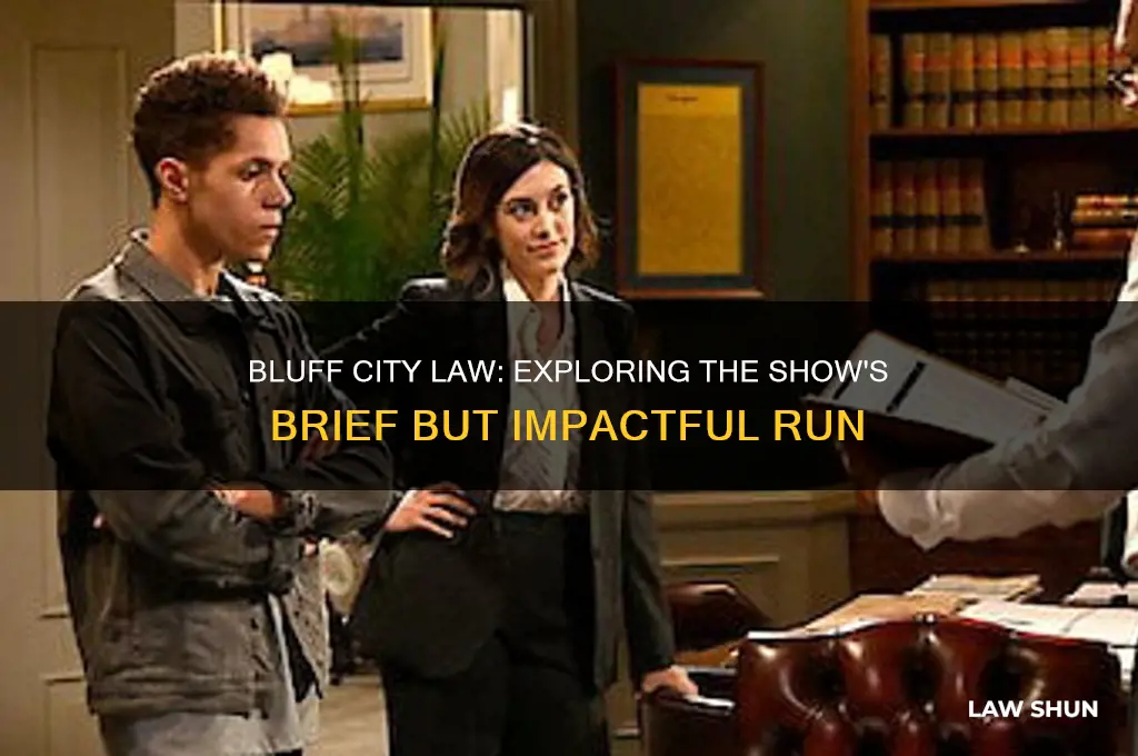 how many seasons did bluff city law tv series have