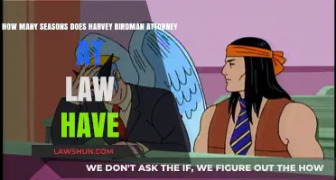 Harvey Birdman Attorney at Law: Exploring the Show's Season Count