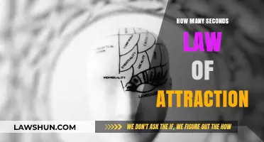 Unlocking the Law of Attraction: Timing Secrets for Manifestation Success