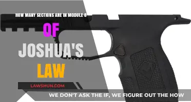 Understanding Joshua's Law: Module 8 Sections Explained in Detail