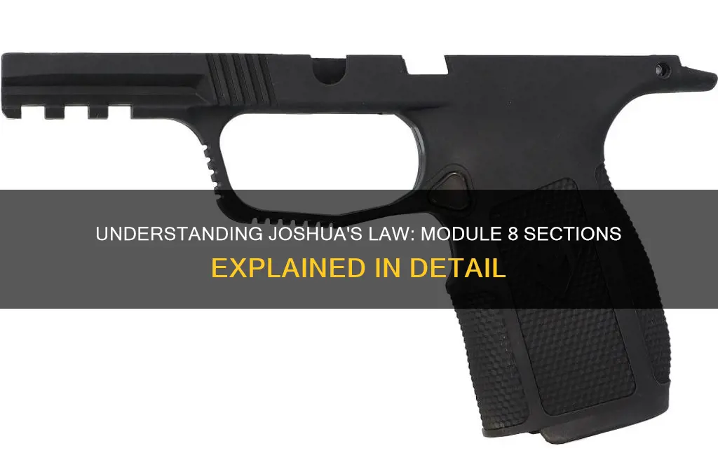 how many sections are in module 8 of joshua