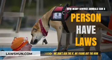 Service Animal Laws: How Many Can You Have?