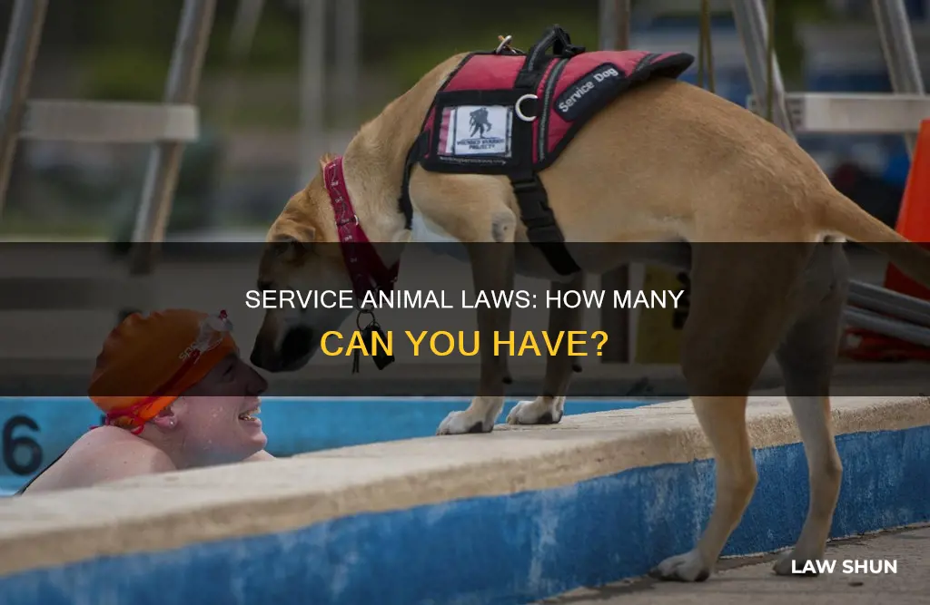 how many service animals can a person have laws