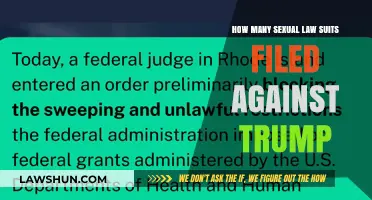 Trump's Legal Battles: Sexual Misconduct Allegations and Lawsuits