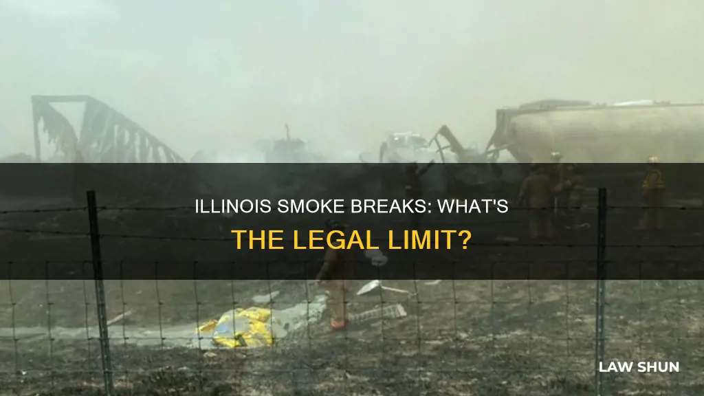 how many smoke breaks are allowed by law in illinois