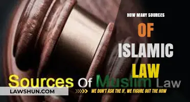 Exploring the Diverse Sources of Islamic Law: A Comprehensive Guide