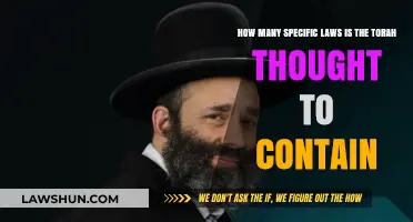 Exploring the Torah's Legal Depth: How Many Specific Laws Are Included?