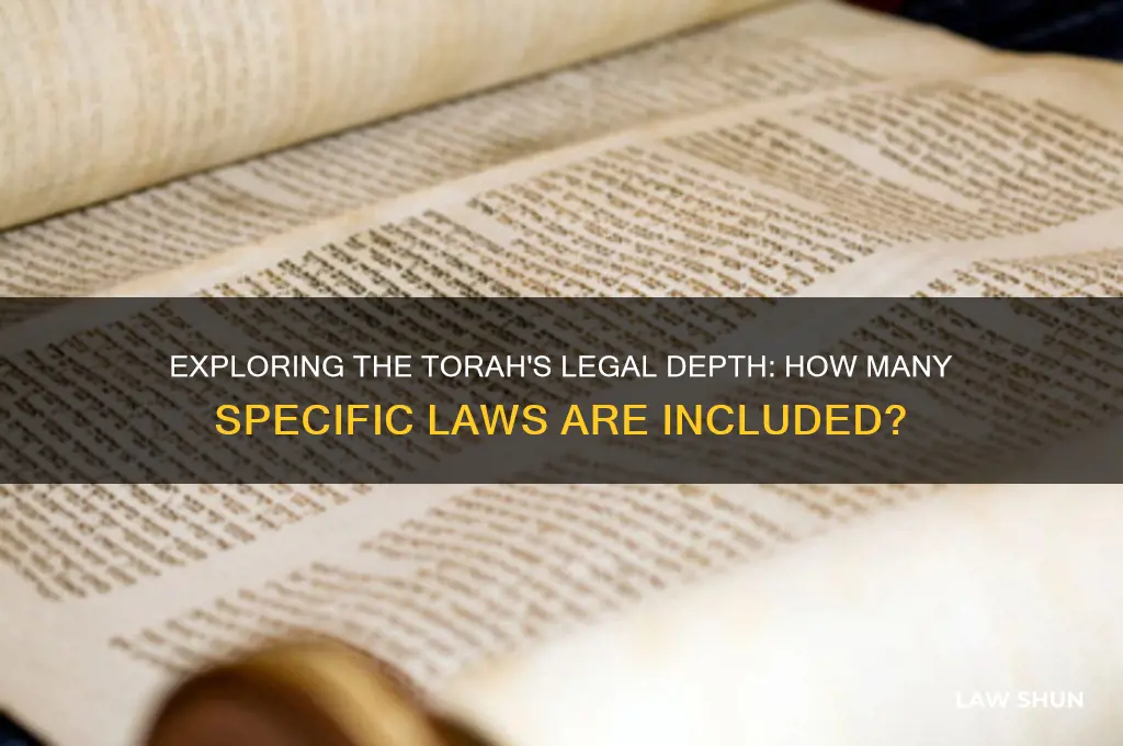 how many specific laws is the torah thought to contain