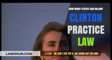 Hillary Clinton's Law Practice: States and Limits