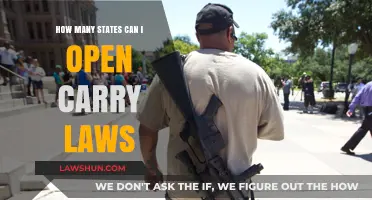 Open Carry Laws: How Many States Allow It?