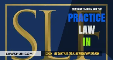 Practicing Law: How Many States Allow It?