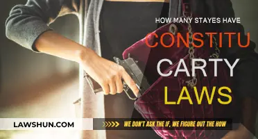 Constitutional Carry Laws: How Many States Have Them?