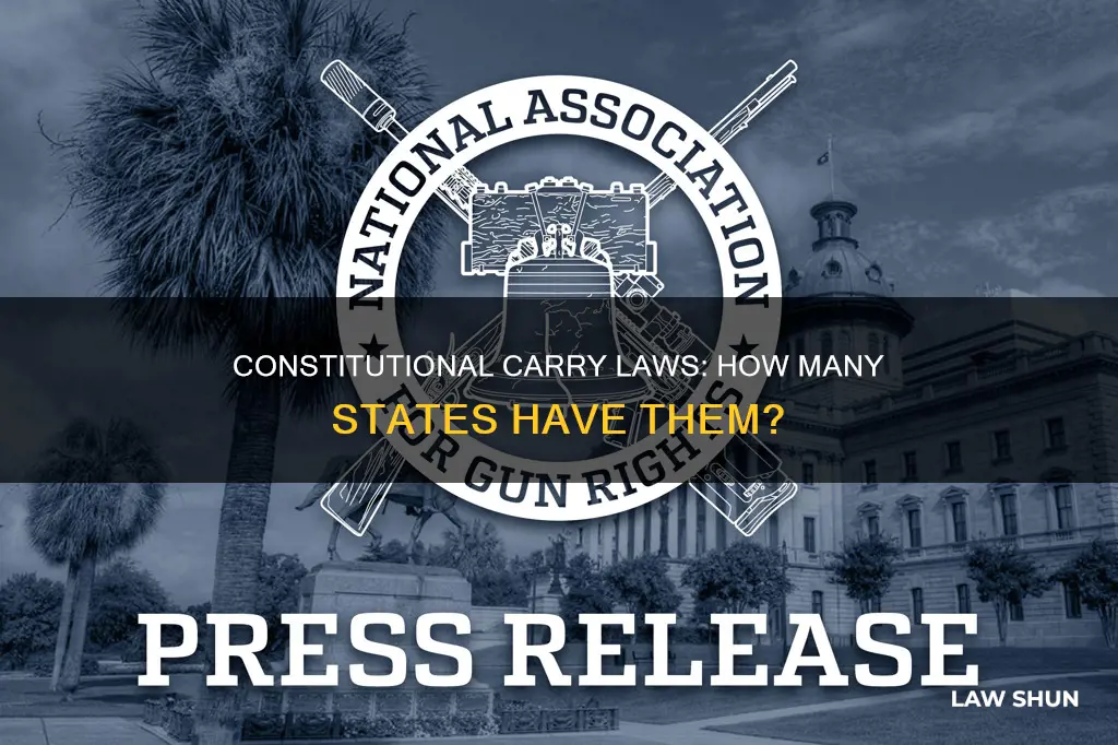 how many stayes have constitutional carty laws