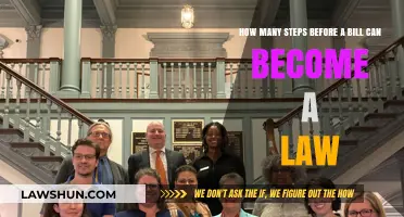 The Journey of a Bill to Law
