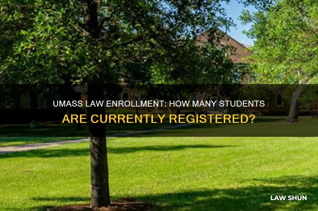 how many student are enrolled at umass law