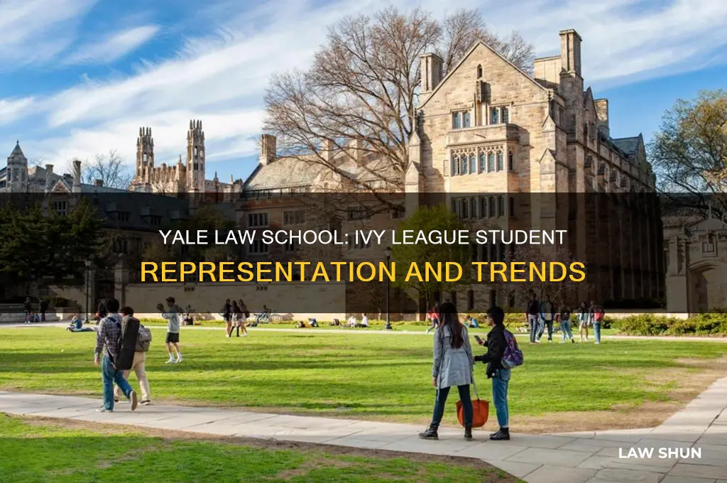 how many students are from ivies for yale law