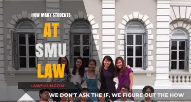 Exploring SMU Law: Current Student Enrollment and Campus Life Insights