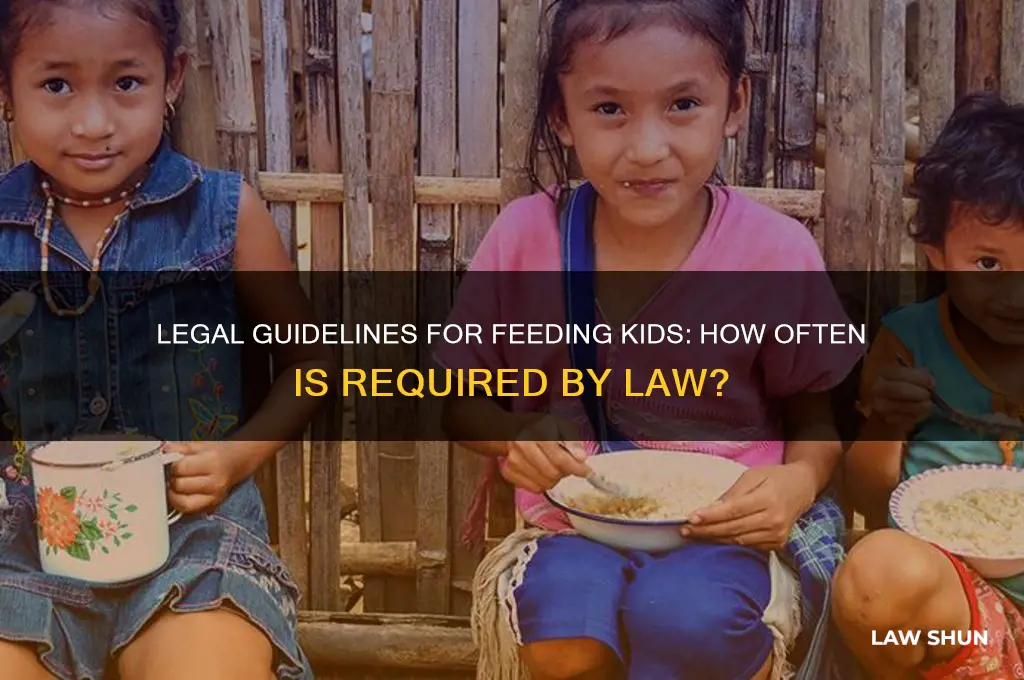 how many times by law do you feed your kids