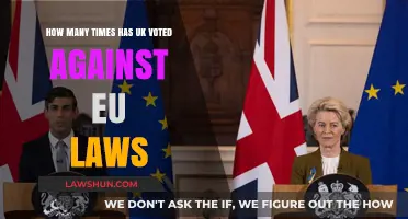 UK's EU Law Vetoes: How Often Has Britain Said No?
