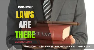 Exploring the Complex Landscape of Tort Law: A Comprehensive Guide