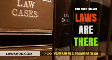 Exploring the Complex Web of Treason Laws Across the Globe