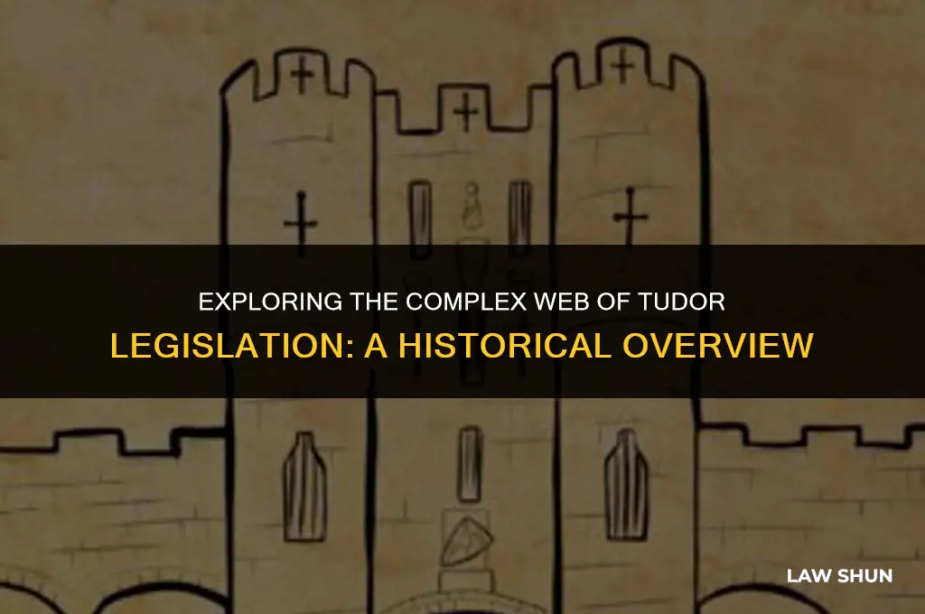 how many tudor laws were there