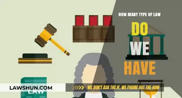 Exploring the Diverse Types of Law: A Comprehensive Overview