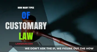 Exploring the Diverse Types of Customary Law Worldwide