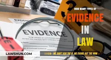 Understanding the Diverse Types of Legal Evidence in Court