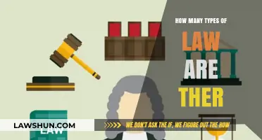 Exploring the Diverse World of Legal Systems and Their Types