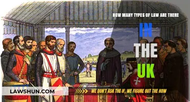 Exploring the Diverse UK Legal System: Many Laws, One Nation