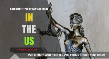 Exploring the Diverse Legal Landscape: Types of Law in the US