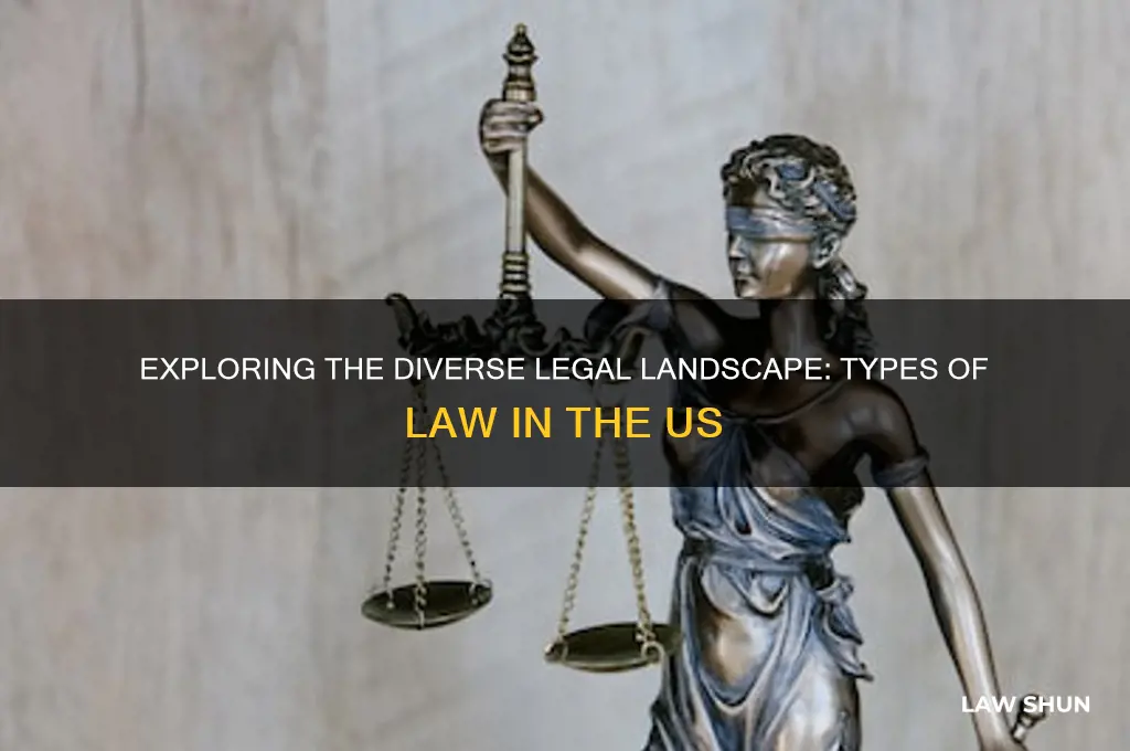 how many types of law are there in the us