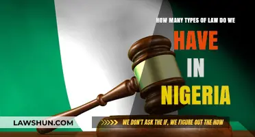 Exploring the Diverse Legal Landscape: Types of Law in Nigeria
