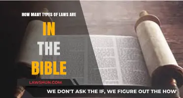 Exploring the Diverse Legal Principles and Commandments in the Bible
