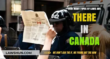 Exploring Canada's Diverse Legal Landscape: Laws Classified