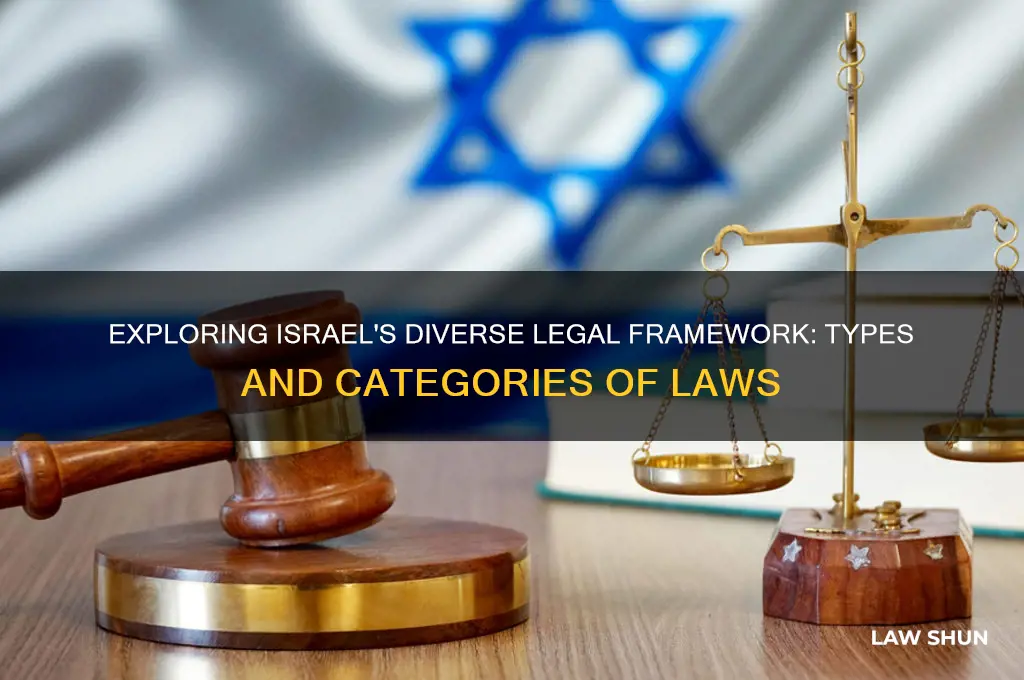 how many types of laws did israle have