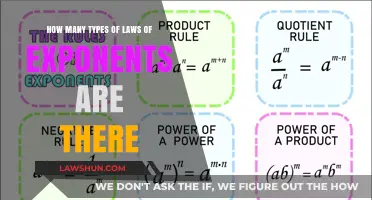 Exploring the Diverse Types of Exponent Laws in Mathematics