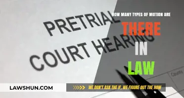Understanding the Diverse Types of Motion in Legal Proceedings