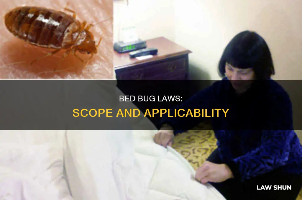 how many units do the bed bug law apply to