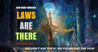 Exploring the Count of Universal Laws
