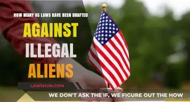 Combating Illegal Immigration: Analyzing US Laws Targeting Unauthorized Aliens